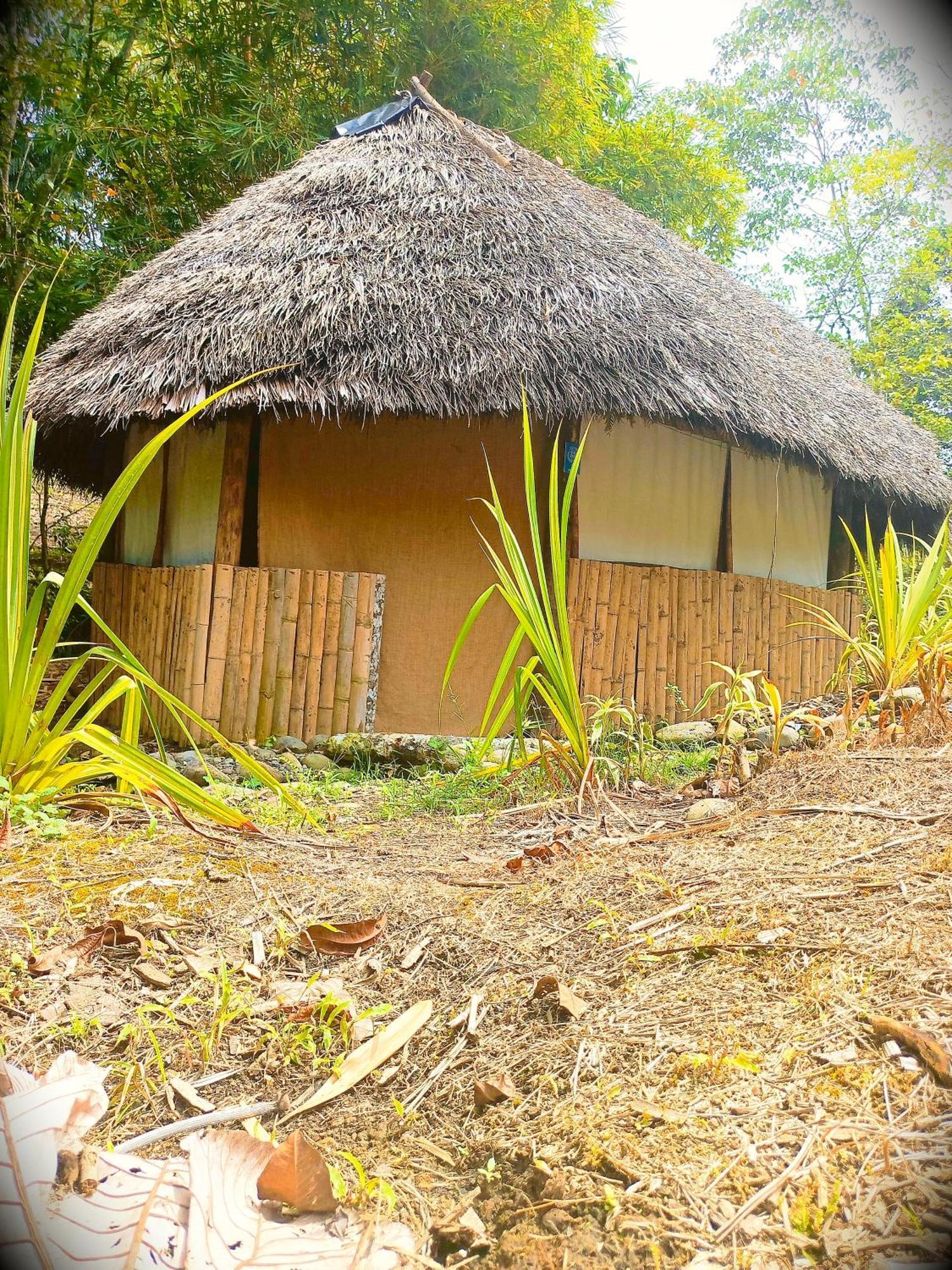 فندق Hosteria Cacique Wasi بويو المظهر الخارجي الصورة